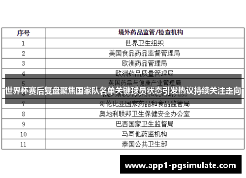 世界杯赛后复盘聚焦国家队名单关键球员状态引发热议持续关注走向