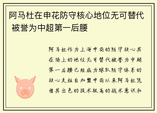 阿马杜在申花防守核心地位无可替代 被誉为中超第一后腰