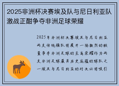 2025非洲杯决赛埃及队与尼日利亚队激战正酣争夺非洲足球荣耀