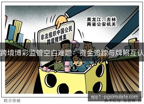 跨境博彩监管空白难题：资金追踪与牌照互认